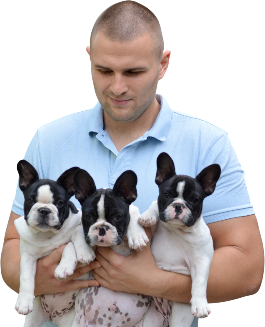 A man is holding a French Bulldog puppy in his arms